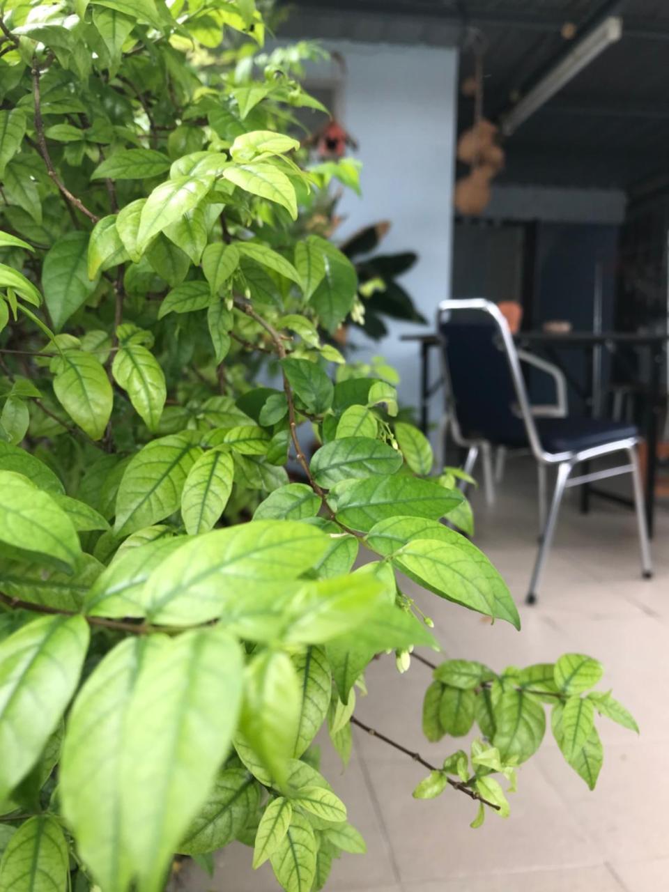 Jeesnail Guesthouse バンコク都 エクステリア 写真